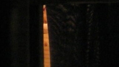 Asian exchange student neighbors 4